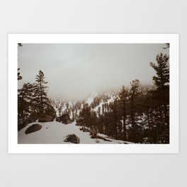 Tahoe Landscapes Art Print