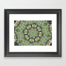 Kaleidoscope - Cucumber Vine and Trellis v.2 Framed Art Print