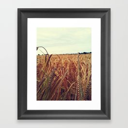 Golden Harvest - Wheat Field Framed Art Print
