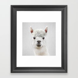 Llama - Colorful Framed Art Print