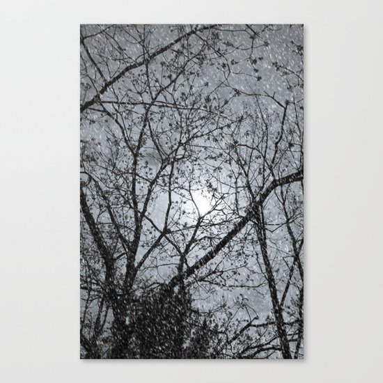 Oh Snowy Night Canvas Print