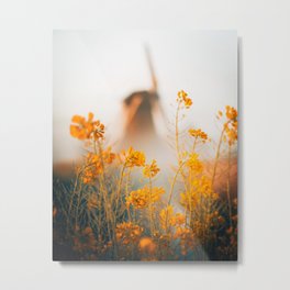 Dutch mill with flowers in the front. Misty morning in Holland Netherlands Metal Print