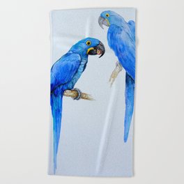 Hyacinth macaws, beautiful blue parrots Beach Towel