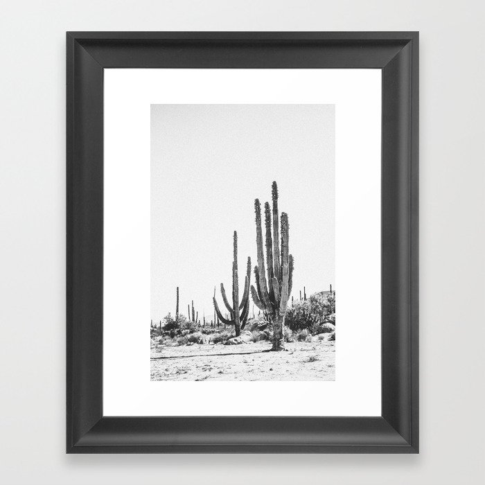 DESERT CACTUS XVII / Baja, Mexico Framed Art Print