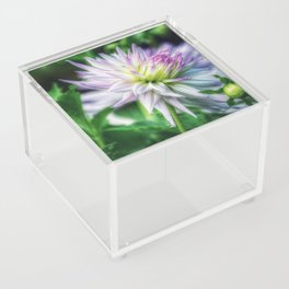 Dahlia I Acrylic Box