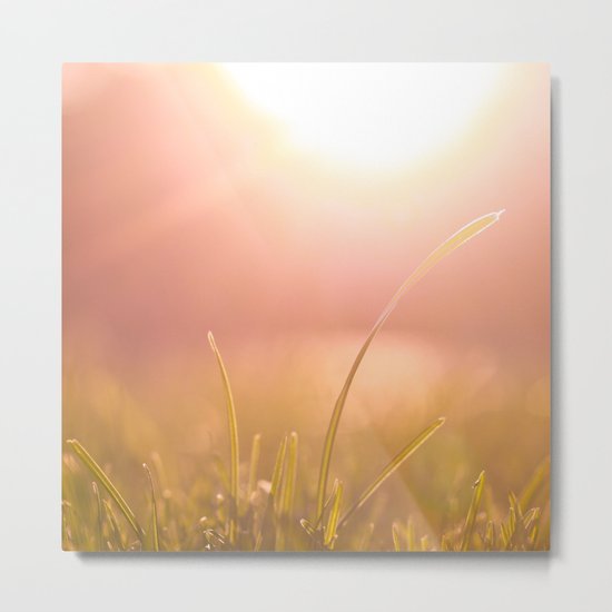 Shine Metal Print