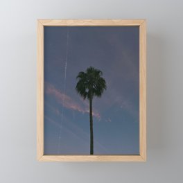 palm tree in california iii, in december Framed Mini Art Print