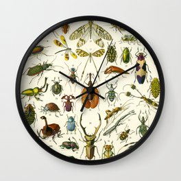 Bugs  Wall Clock