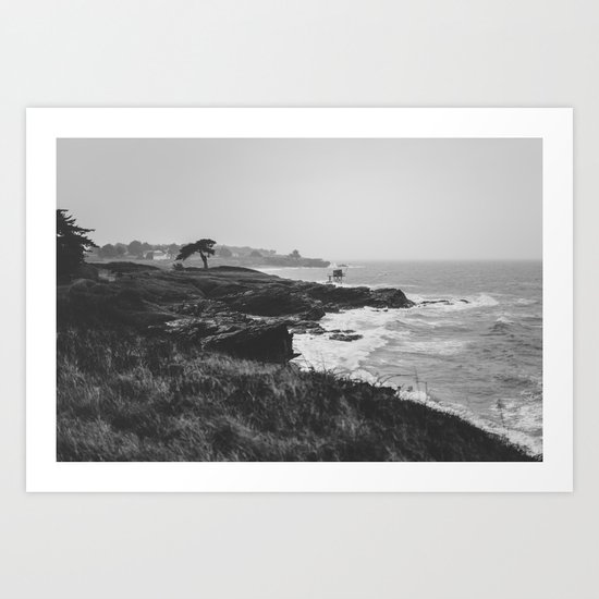 The wild landscape Art Print