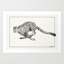 Cheetah in Flight Art Print