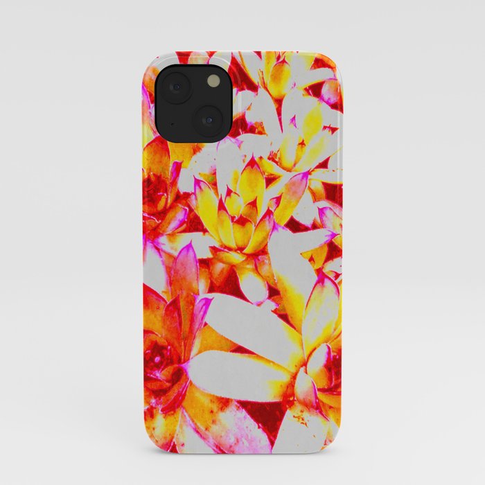 Sweet Succulents of the PNW iPhone Case