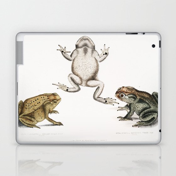 Keeled Nosed Toad & Doubtful Toad  Laptop & iPad Skin