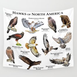 Hawks of North America Wall Tapestry