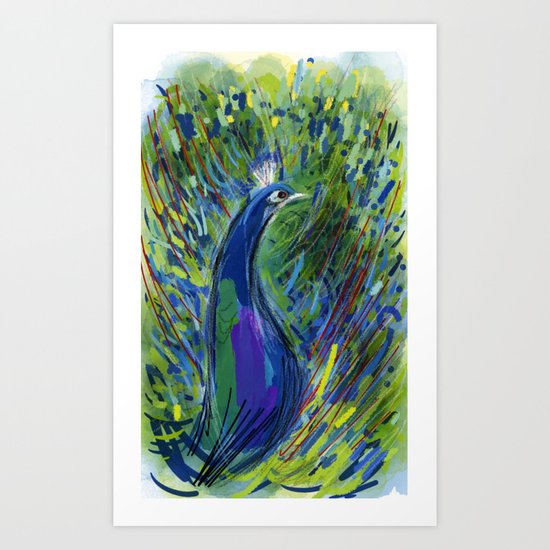 Peacock Art Print