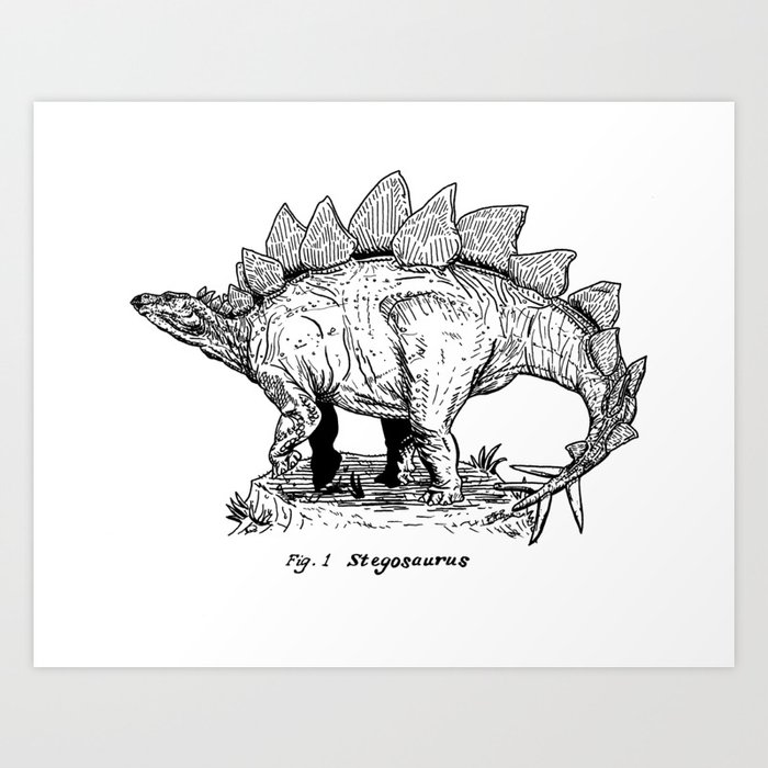 Figure One: Stegosaurus Art Print