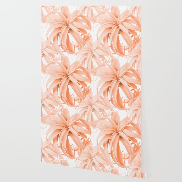 Coral Color Air Plant White Background Decor Society6 Buyart Wallpaper By Pivivikstrm Society6