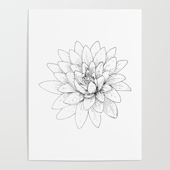 Black and White Lotus Flower Poster