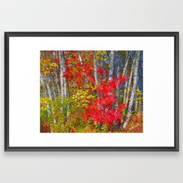 Fall's Palette Framed Art Print
