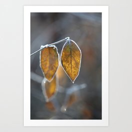 Mustard Yellow and Brown Fall Leaves on Gray Art Print
