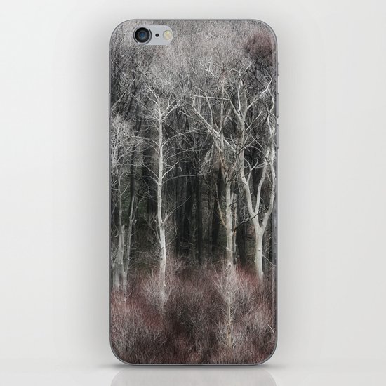 Ohio Trees iPhone & iPod Skin