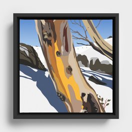 Snowy Gumtree On The Ski Slopes Framed Canvas