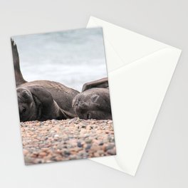 Argentina Photography - Southern Elephant Seals Laying On The Beach Stationery Card