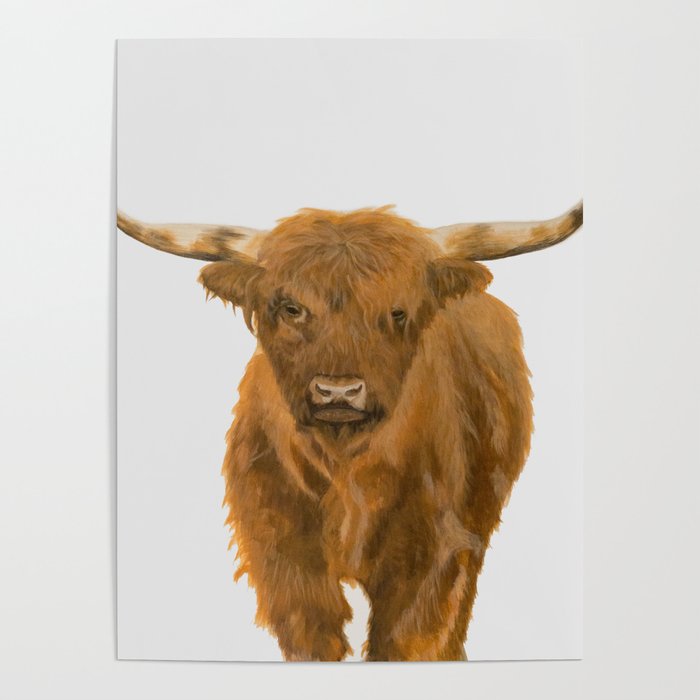 Highland Cow Poster