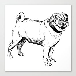 Pug Canvas Print