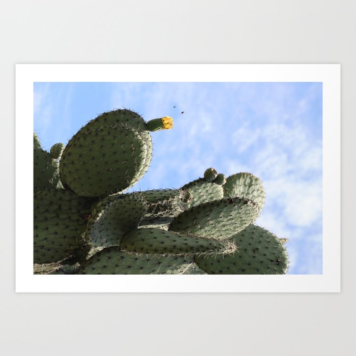 Cactus from Teotihuacan Art Print