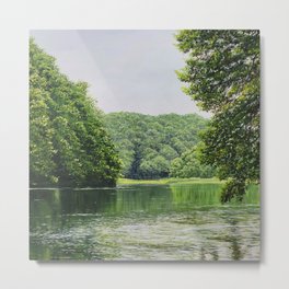 Serene lake Metal Print