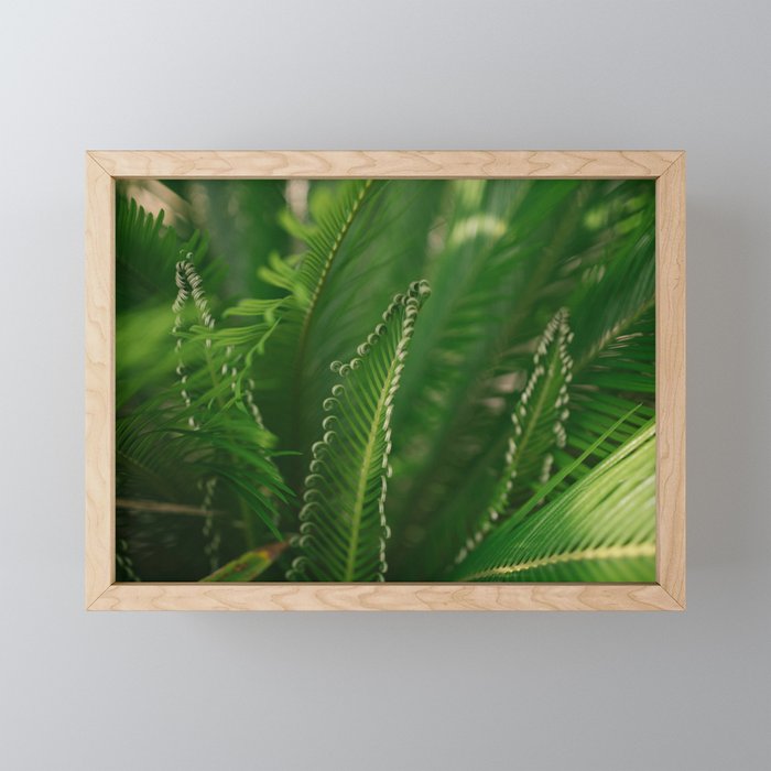fern composition no. 1 Framed Mini Art Print