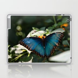 Blue Morpho Butterfly by Andrea Anderegg Laptop Skin