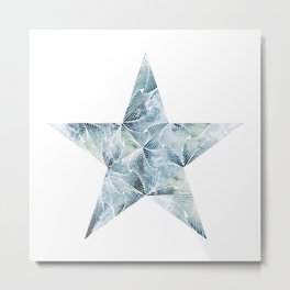 Frosted Star Metal Print