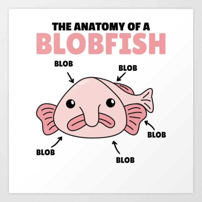 Blob Fish Funny Face Fish | Photographic Print