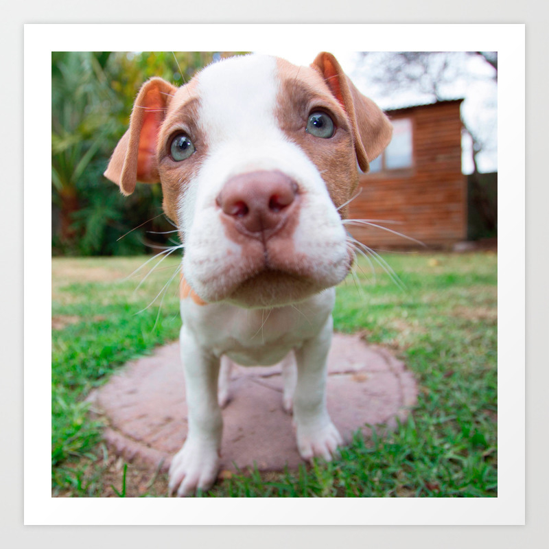 society6
