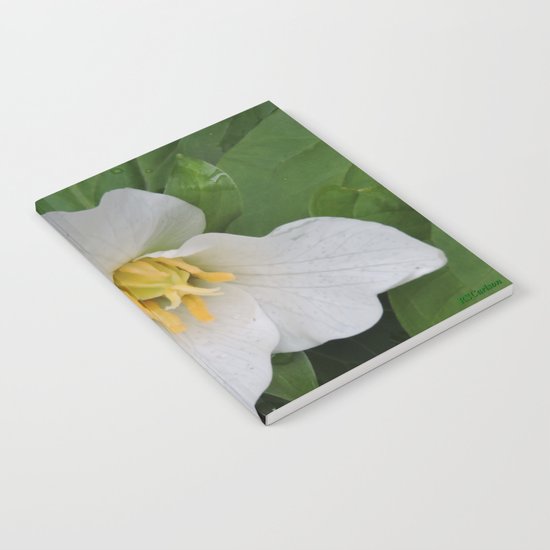 Trillium in the Rain Notebook