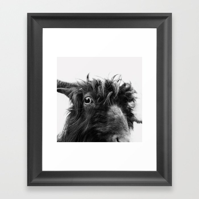 charlie the goat Framed Art Print