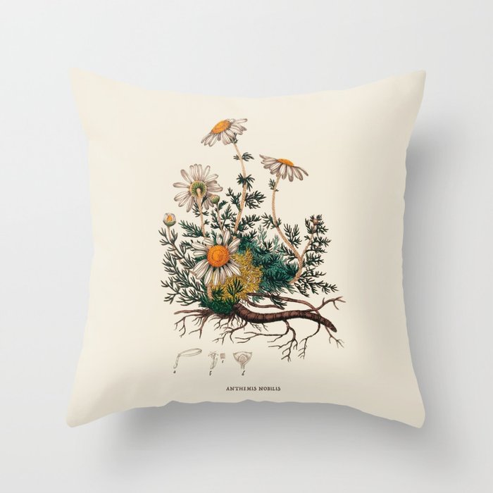 Camomile Antique Botanical Illustration Throw Pillow