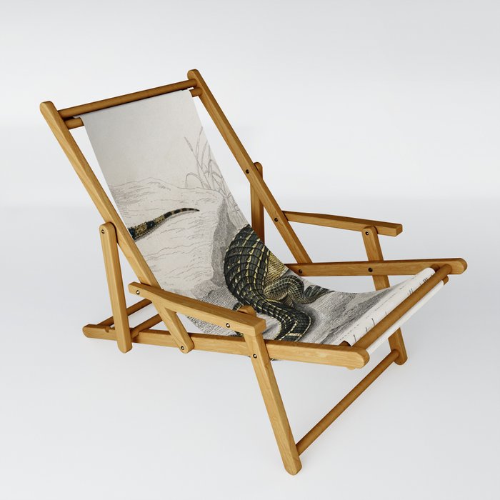 Alligator & Lilford'swall lizard  Sling Chair