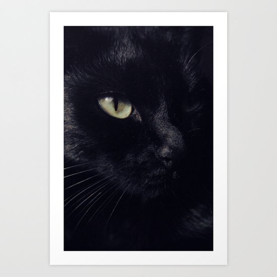 Black cat Art Print