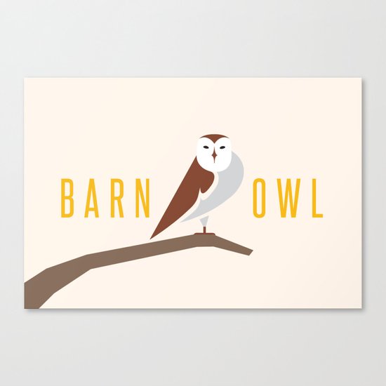 Barn Owl Canvas Print