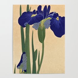 Blue Irises, 1900-1930 by Ohara Koson Poster