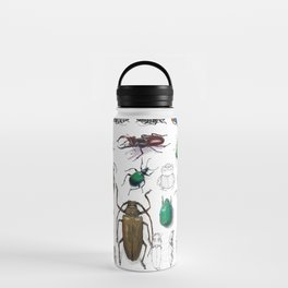 Beautiful Beetles Water Bottle