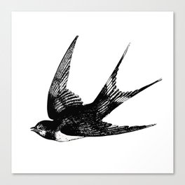 Sparrow Canvas Print