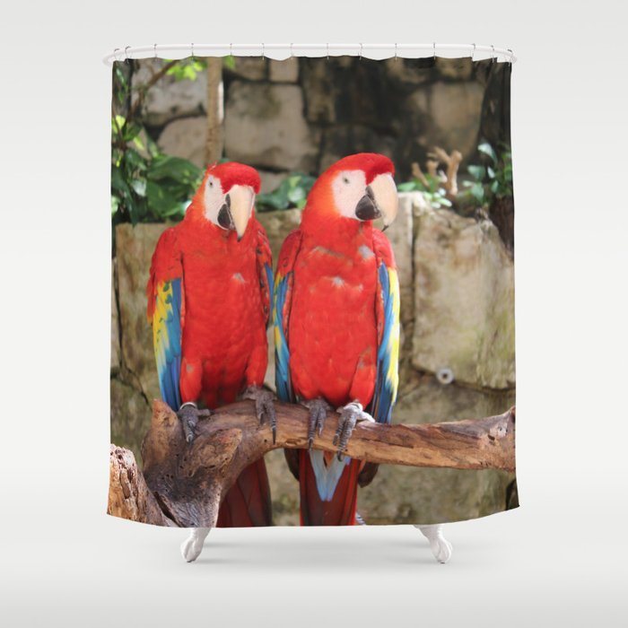 Mexico Photography - Two Red Parrots On A Branch Shower Curtain