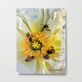 Let Me Be Your Honey Bee Metal Print | Black, Green, Bunnyclarke, Brown, Blue, Honeybees, White, Photo, Poppy, Wildlife 