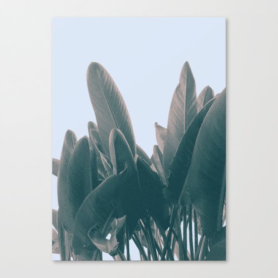 Catch Canvas Print