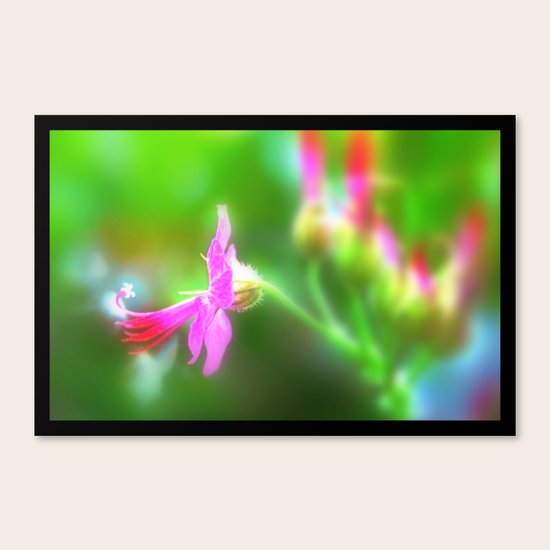 Pink Canvas Print