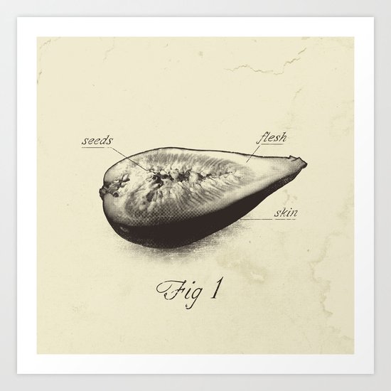 Fig 1 Art Print