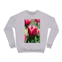 Pink Tulips 4 Crewneck Sweatshirt